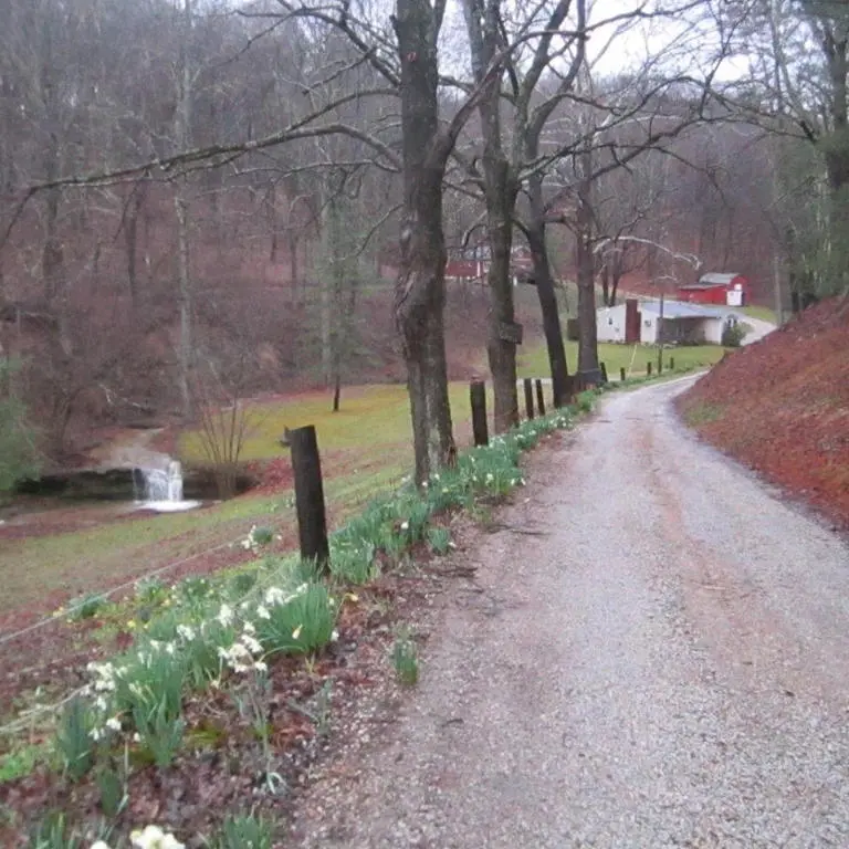 Brookside Cabin